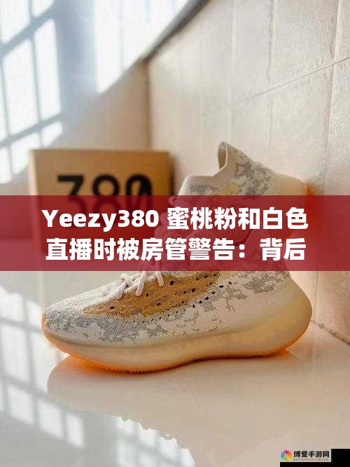 Yeezy380 蜜桃粉和白色直播时被房管警告：背后动因解析