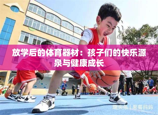 放学后的体育器材：孩子们的快乐源泉与健康成长