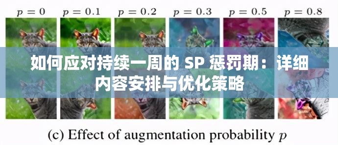 如何应对持续一周的 SP 惩罚期：详细内容安排与优化策略