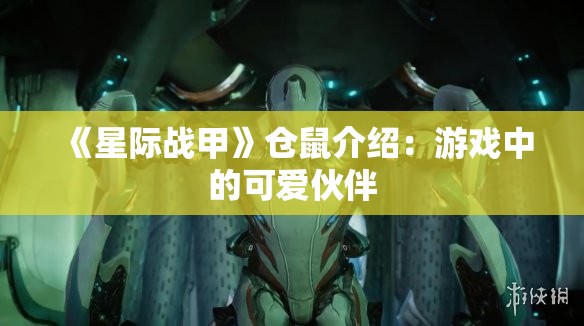 《星际战甲》仓鼠介绍：游戏中的可爱伙伴