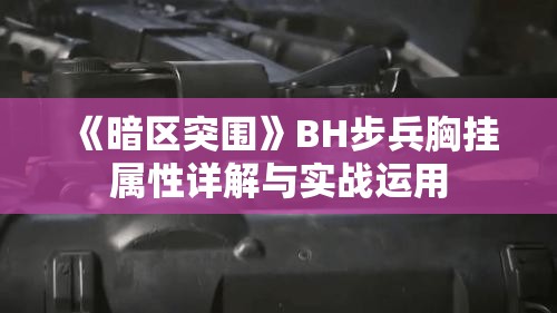 《暗区突围》BH步兵胸挂属性详解与实战运用