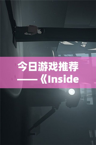 今日游戏推荐——《Inside》：一场黑暗与光明的冒险之旅