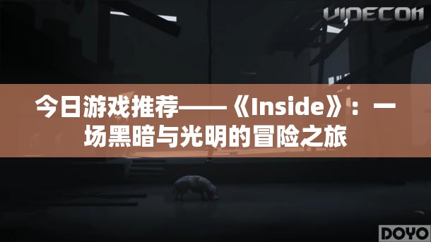 今日游戏推荐——《Inside》：一场黑暗与光明的冒险之旅