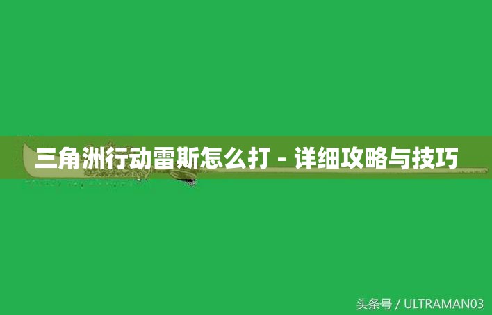 三角洲行动雷斯怎么打 - 详细攻略与技巧