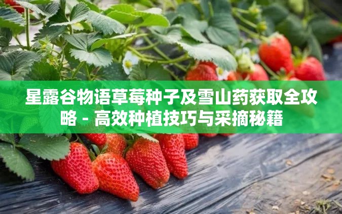 星露谷物语草莓种子及雪山药获取全攻略 - 高效种植技巧与采摘秘籍